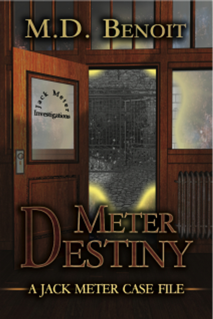 Meter Destiny